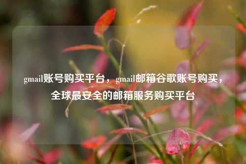 gmail账号购买平台，gmail邮箱谷歌账号购买，全球最安全的邮箱服务购买平台