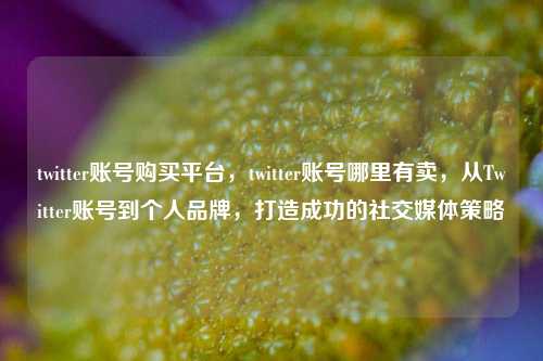 twitter账号购买平台，twitter账号哪里有卖，从Twitter账号到个人品牌，打造成功的社交媒体策略