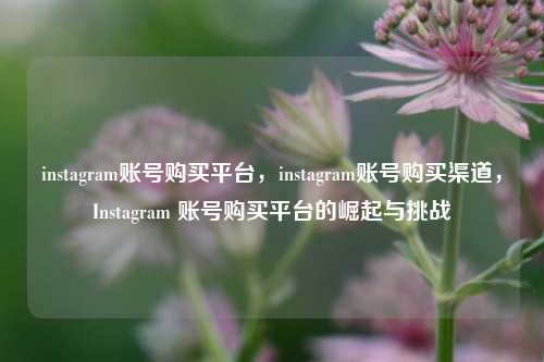 instagram账号购买平台，instagram账号购买渠道，Instagram 账号购买平台的崛起与挑战