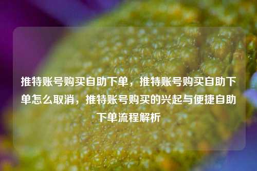 推特账号购买自助下单，推特账号购买自助下单怎么取消，推特账号购买的兴起与便捷自助下单流程解析