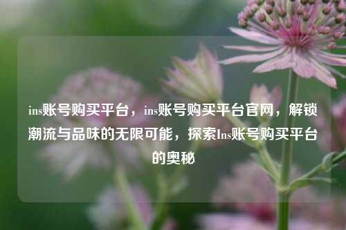 ins账号购买平台，ins账号购买平台官网，解锁潮流与品味的无限可能，探索Ins账号购买平台的奥秘