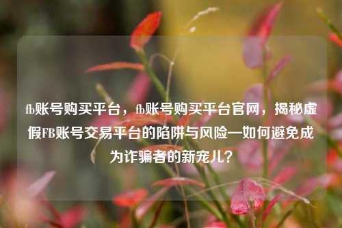 fb账号购买平台，fb账号购买平台官网，揭秘虚假FB账号交易平台的陷阱与风险—如何避免成为诈骗者的新宠儿？