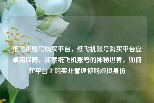 纸飞机账号购买平台，纸飞机账号购买平台安卓用保障，探索纸飞机账号的神秘世界，如何在平台上购买并管理你的虚拟身份