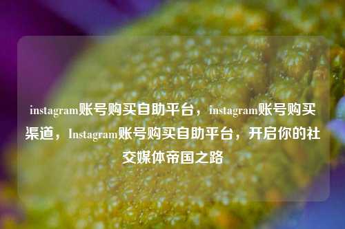 instagram账号购买自助平台，instagram账号购买渠道，Instagram账号购买自助平台，开启你的社交媒体帝国之路