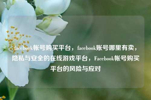 facebook帐号购买平台，facebook账号哪里有卖，隐私与安全的在线游戏平台，Facebook帐号购买平台的风险与应对