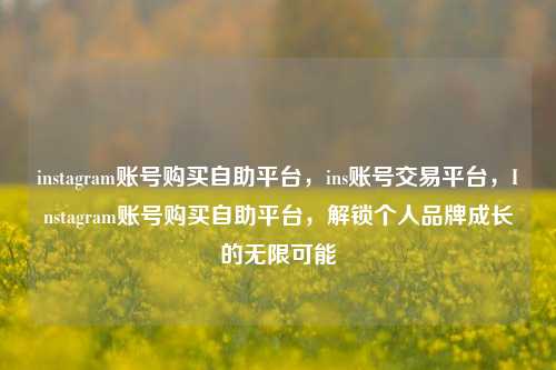 instagram账号购买自助平台，ins账号交易平台，Instagram账号购买自助平台，解锁个人品牌成长的无限可能