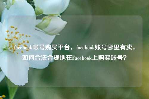 facebook帐号购买平台，facebook账号哪里有卖，如何合法合规地在Facebook上购买账号？