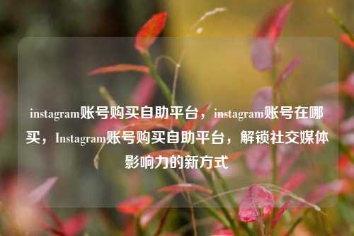 instagram账号购买自助平台，instagram账号在哪买，Instagram账号购买自助平台，解锁社交媒体影响力的新方式