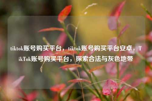 tiktok账号购买平台，tiktok账号购买平台安卓，TikTok账号购买平台，探索合法与灰色地带