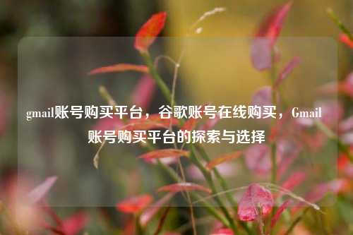 gmail账号购买平台，谷歌账号在线购买，Gmail 账号购买平台的探索与选择