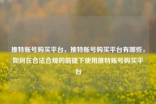 推特账号购买平台，推特账号购买平台有哪些，如何在合法合规的前提下使用推特账号购买平台