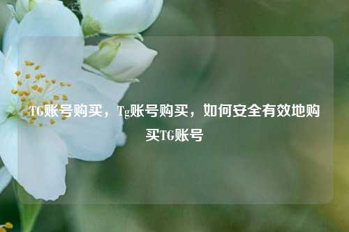 TG账号购买，Tg账号购买，如何安全有效地购买TG账号