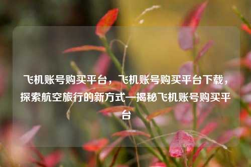 飞机账号购买平台，飞机账号购买平台下载，探索航空旅行的新方式—揭秘飞机账号购买平台