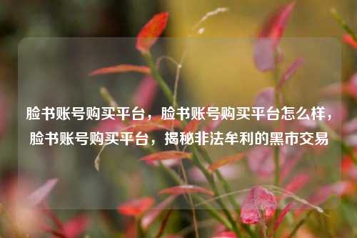 脸书账号购买平台，脸书账号购买平台怎么样，脸书账号购买平台，揭秘非法牟利的黑市交易