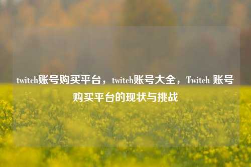 twitch账号购买平台，twitch账号大全，Twitch 账号购买平台的现状与挑战