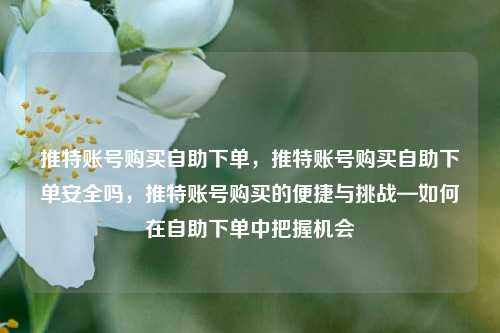 推特账号购买自助下单，推特账号购买自助下单安全吗，推特账号购买的便捷与挑战—如何在自助下单中把握机会