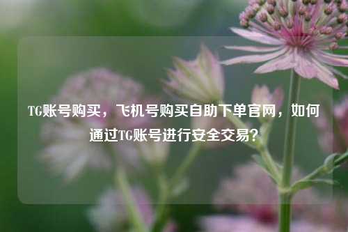 TG账号购买，飞机号购买自助下单官网，如何通过TG账号进行安全交易？