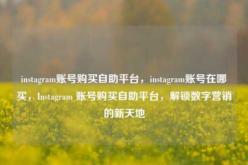 instagram账号购买自助平台，instagram账号在哪买，Instagram 账号购买自助平台，解锁数字营销的新天地