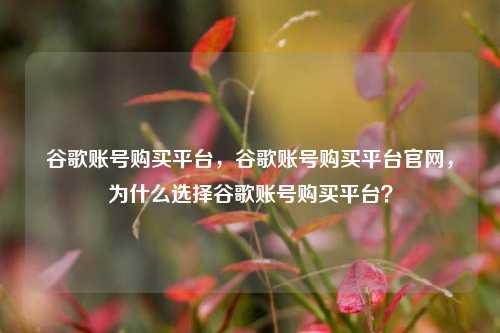 谷歌账号购买平台，谷歌账号购买平台官网，为什么选择谷歌账号购买平台？