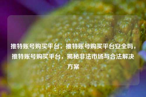 推特账号购买平台	，推特账号购买平台安全吗，推特账号购买平台，揭秘非法市场与合法解决方案  第1张