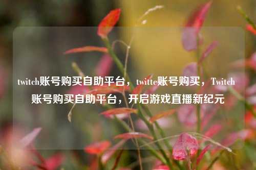 twitch账号购买自助平台，twitte账号购买，Twitch 账号购买自助平台，开启游戏直播新纪元