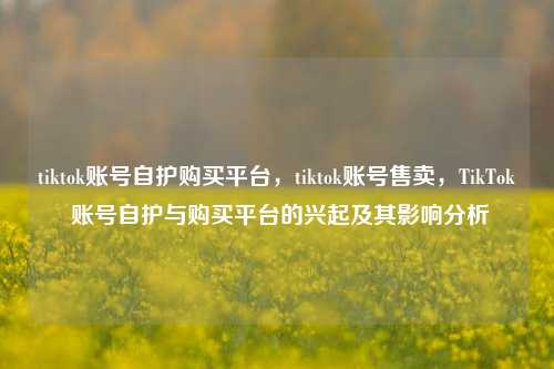 tiktok账号自护购买平台，tiktok账号售卖，TikTok 账号自护与购买平台的兴起及其影响分析