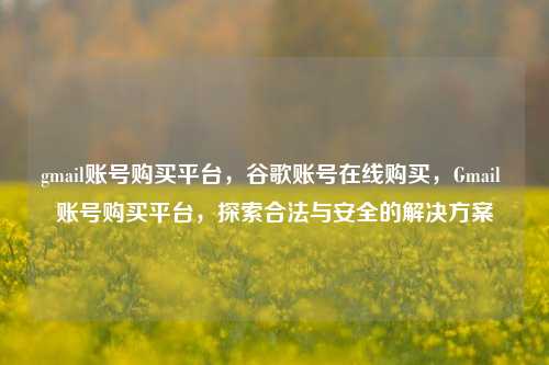 gmail账号购买平台，谷歌账号在线购买，Gmail 账号购买平台，探索合法与安全的解决方案