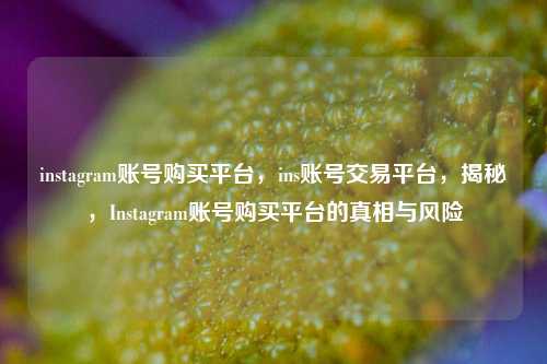 instagram账号购买平台，ins账号交易平台，揭秘，Instagram账号购买平台的真相与风险