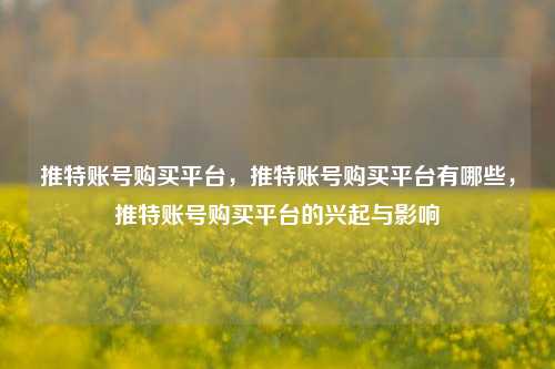 推特账号购买平台，推特账号购买平台有哪些，推特账号购买平台的兴起与影响