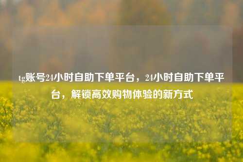 tg账号24小时自助下单平台，24小时自助下单平台，解锁高效购物体验的新方式