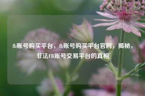 fb账号购买平台，fb账号购买平台官网，揭秘，非法FB账号交易平台的真相