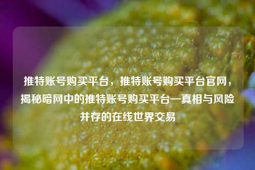 推特账号购买平台，推特账号购买平台官网，揭秘暗网中的推特账号购买平台—真相与风险并存的在线世界交易