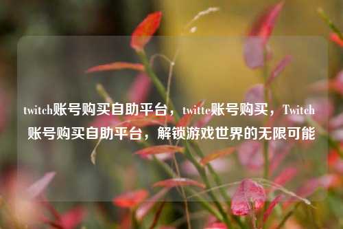 twitch账号购买自助平台，twitte账号购买，Twitch 账号购买自助平台，解锁游戏世界的无限可能