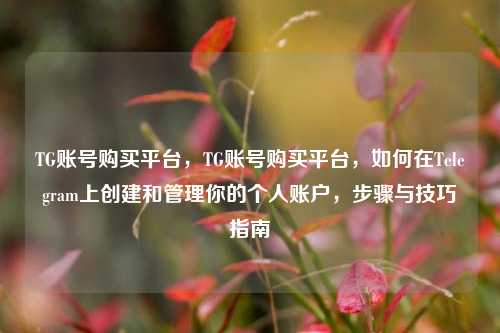 TG账号购买平台，TG账号购买平台，如何在Telegram上创建和管理你的个人账户，步骤与技巧指南