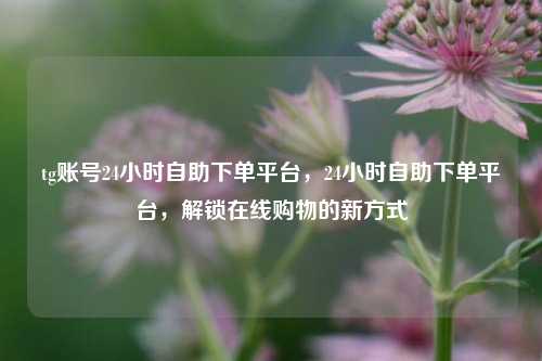 tg账号24小时自助下单平台，24小时自助下单平台，解锁在线购物的新方式  第1张