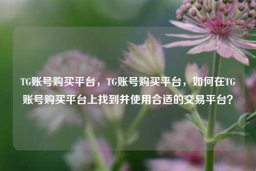 TG账号购买平台，TG账号购买平台，如何在TG账号购买平台上找到并使用合适的交易平台？
