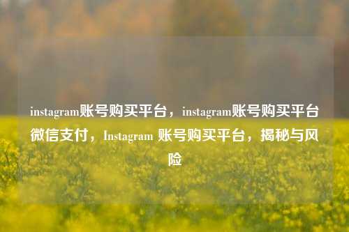 instagram账号购买平台，instagram账号购买平台微信支付，Instagram 账号购买平台，揭秘与风险