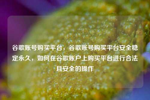 谷歌账号购买平台，谷歌账号购买平台安全稳定永久，如何在谷歌账户上购买平台进行合法且安全的操作