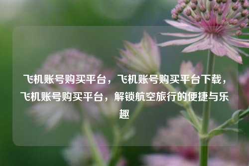 飞机账号购买平台，飞机账号购买平台下载，飞机账号购买平台，解锁航空旅行的便捷与乐趣