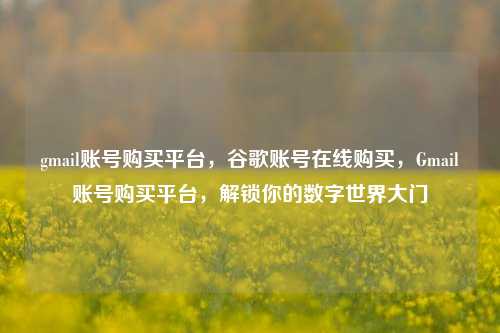 gmail账号购买平台，谷歌账号在线购买，Gmail账号购买平台，解锁你的数字世界大门