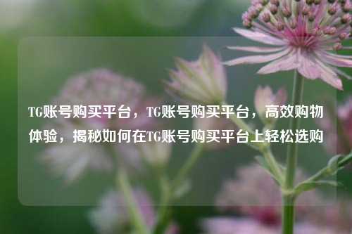 TG账号购买平台，TG账号购买平台，高效购物体验，揭秘如何在TG账号购买平台上轻松选购