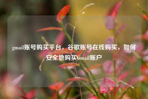 gmail账号购买平台，谷歌账号在线购买，如何安全地购买Gmail账户