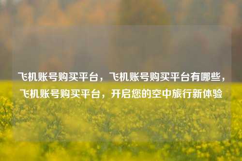 飞机账号购买平台，飞机账号购买平台有哪些，飞机账号购买平台，开启您的空中旅行新体验