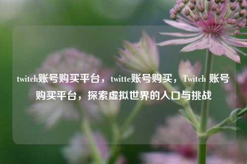 twitch账号购买平台，twitte账号购买，Twitch 账号购买平台，探索虚拟世界的入口与挑战