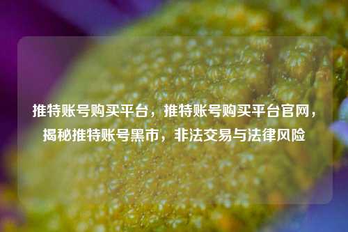 推特账号购买平台，推特账号购买平台官网，揭秘推特账号黑市，非法交易与法律风险