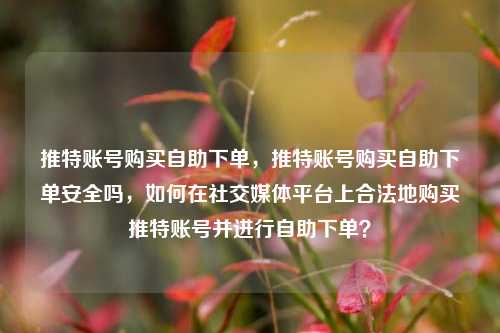 推特账号购买自助下单，推特账号购买自助下单安全吗，如何在社交媒体平台上合法地购买推特账号并进行自助下单？