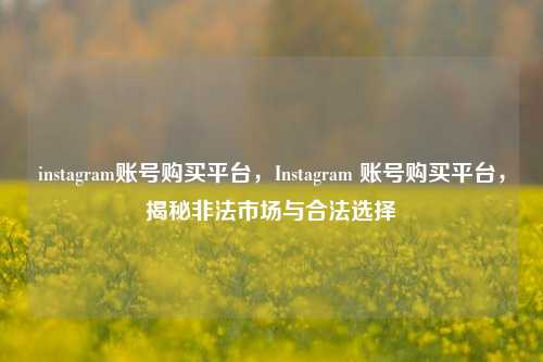 instagram账号购买平台，Instagram 账号购买平台，揭秘非法市场与合法选择