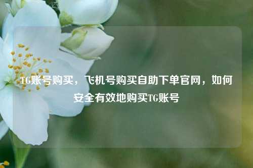 TG账号购买，飞机号购买自助下单官网，如何安全有效地购买TG账号