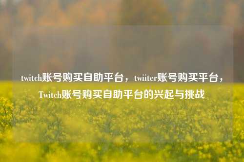 twitch账号购买自助平台，twiiter账号购买平台，Twitch账号购买自助平台的兴起与挑战
