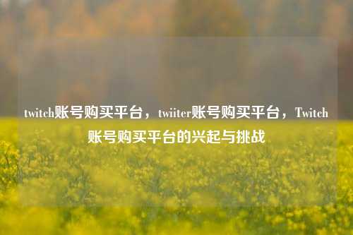 twitch账号购买平台，twiiter账号购买平台，Twitch账号购买平台的兴起与挑战
